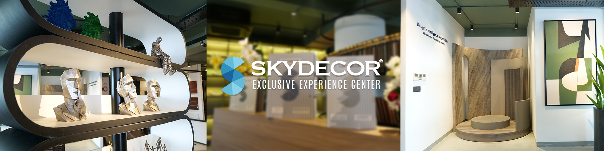 Skydecor book appointment